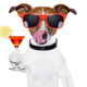 Image for article titled You Don't Have To Be Cool on the Internet